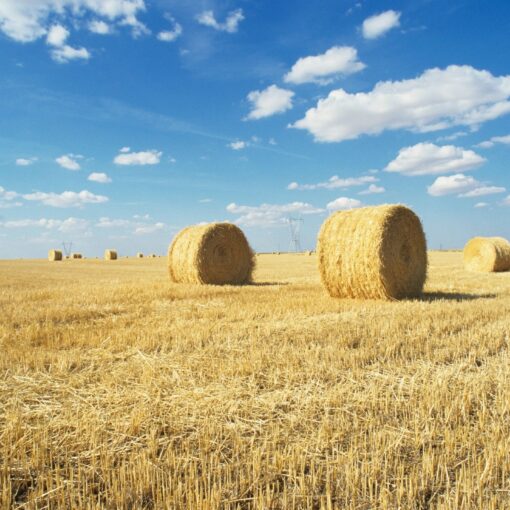 What to Lose a Needle? Create a Bigger Haystack.